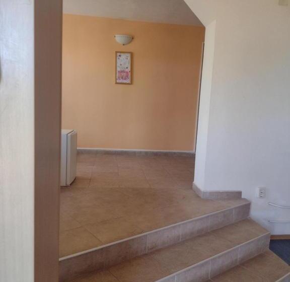 פנסיון Guest House Plamena