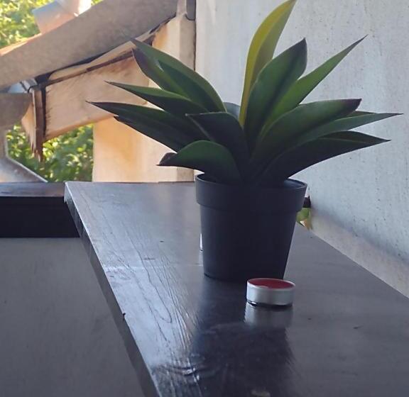 פנסיון Guest House Plamena