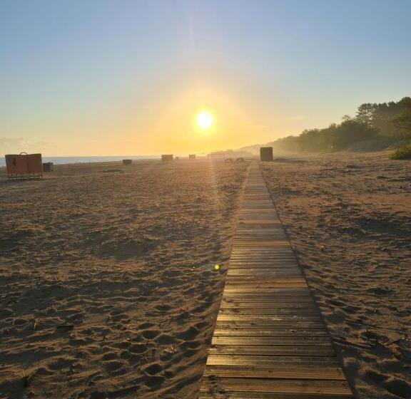 پانسیون Guest House Kaktus