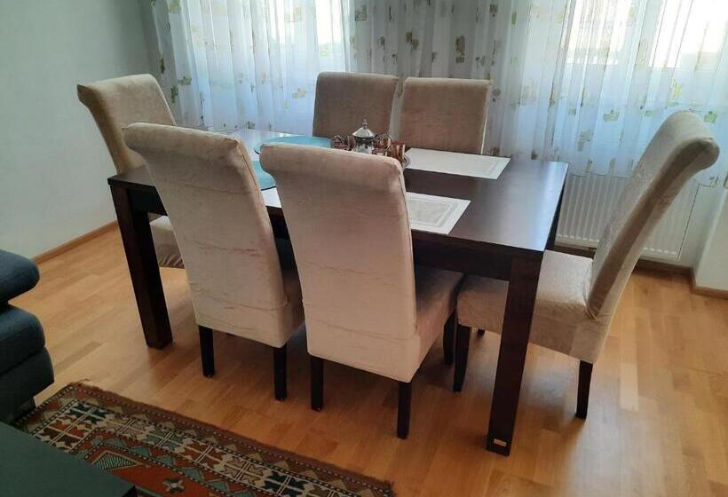 Vienna International Center Apartment