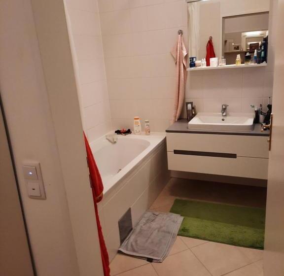 Vienna International Center Apartment