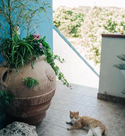 تختخواب و صبحانه Juniper Bay