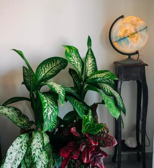 ベッドアンドブレックファースト Juniper Bay