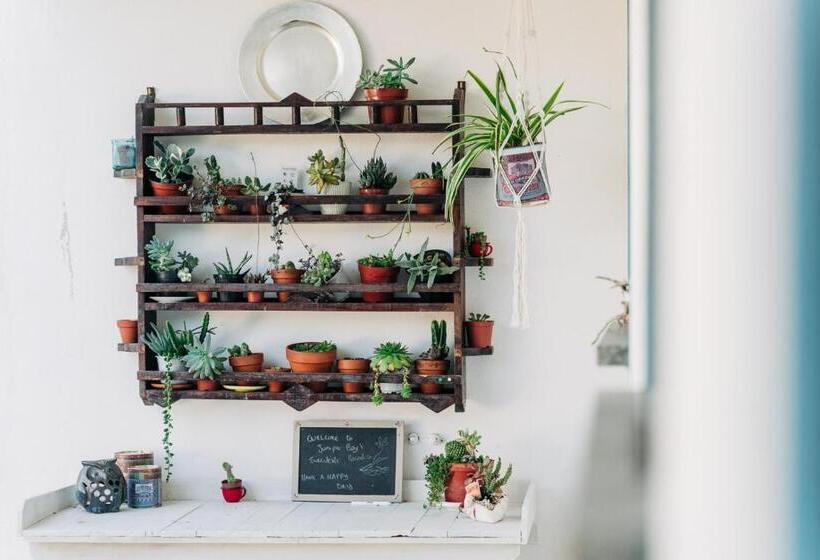 تختخواب و صبحانه Juniper Bay