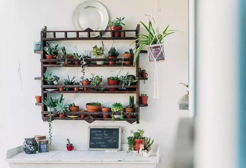 ベッドアンドブレックファースト Juniper Bay