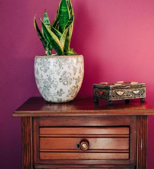 تختخواب و صبحانه Juniper Bay