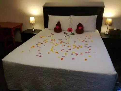 Aamiaismajoitus (B&B) Petra Lodge