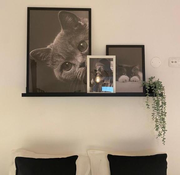 پانسیون Memórias De Setúbal Al