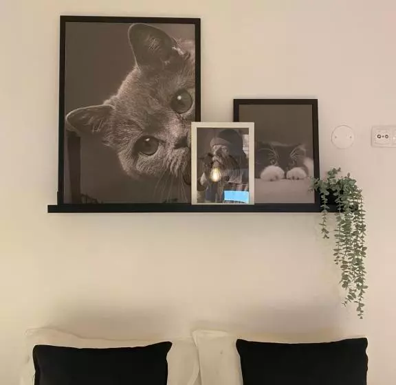 پانسیون Memórias De Setúbal Al