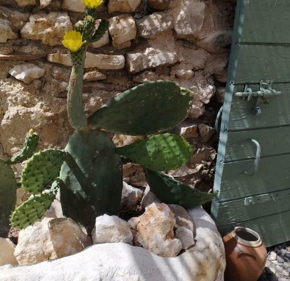 Bed and Breakfast Chez Les Filles