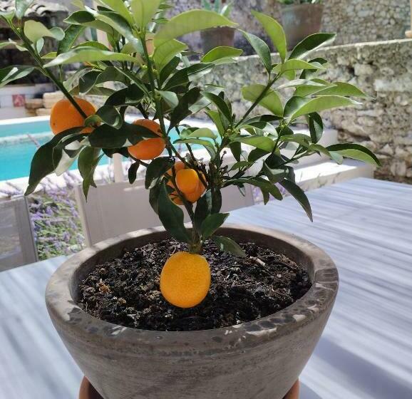 Bed and Breakfast Chez Les Filles