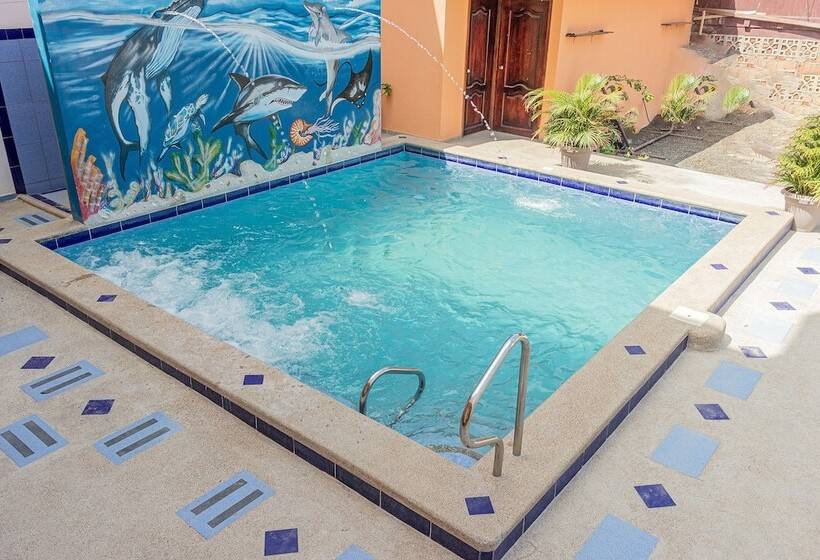 Bed and Breakfast San Alejo Zero