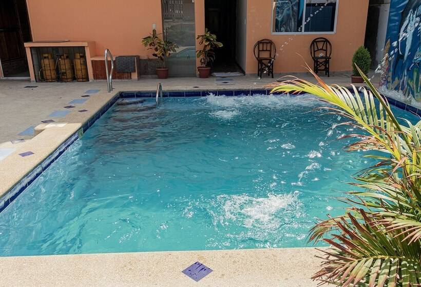 Bed and Breakfast San Alejo Zero