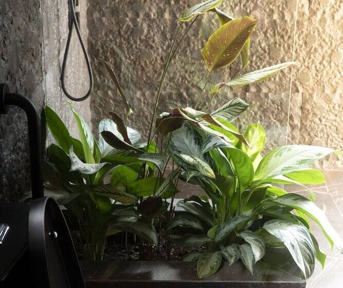 فندق Laloon Luxury Suites Adults Only