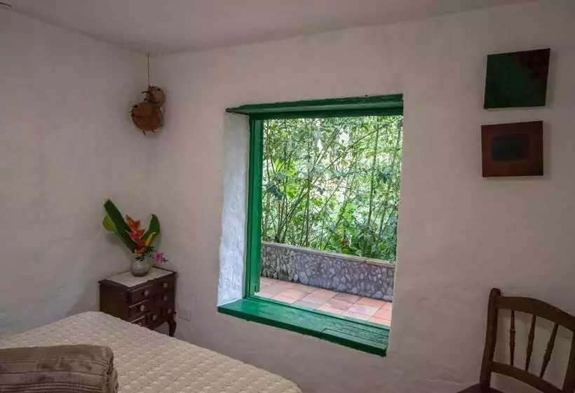 ペンション Finca Los Abuelos   La Planta