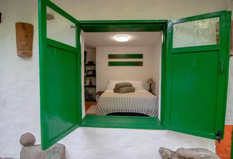 ペンション Finca Los Abuelos   La Planta