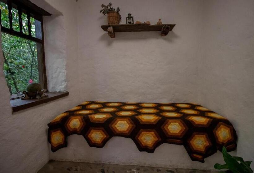 Pensjonat Finca Los Abuelos La Planta