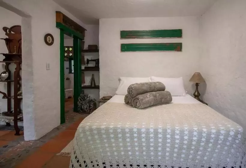 ペンション Finca Los Abuelos   La Planta