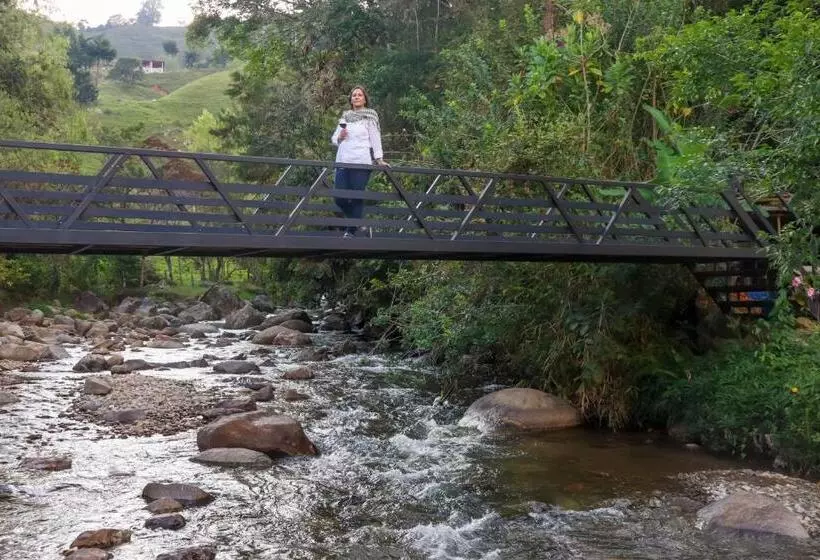 ペンション Finca Los Abuelos   La Planta