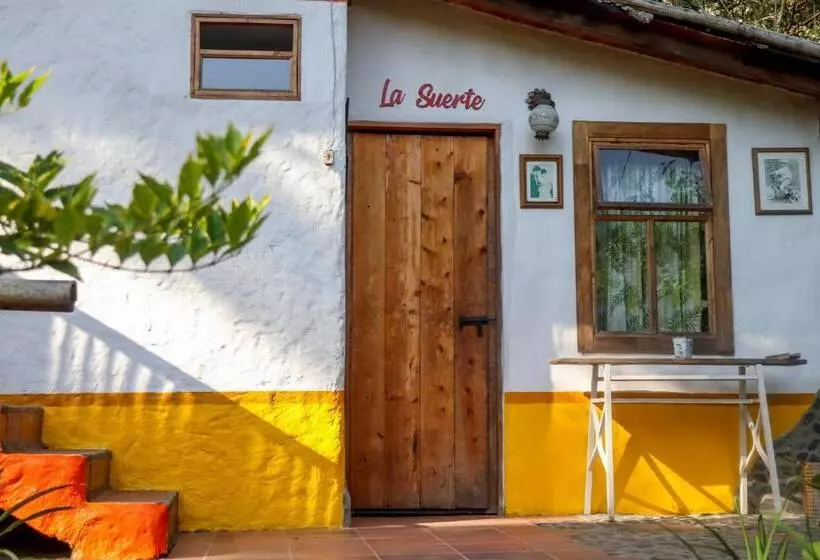 ペンション Finca Los Abuelos   La Planta