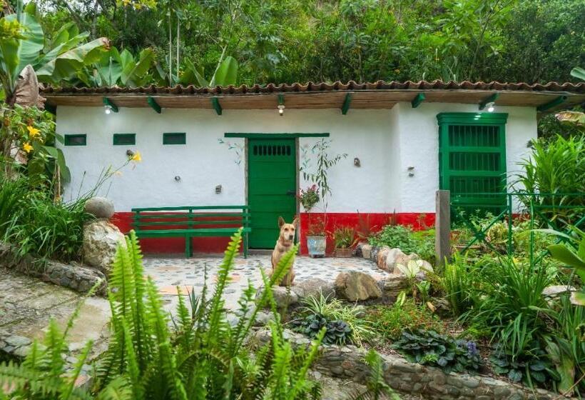 Pensjonat Finca Los Abuelos La Planta