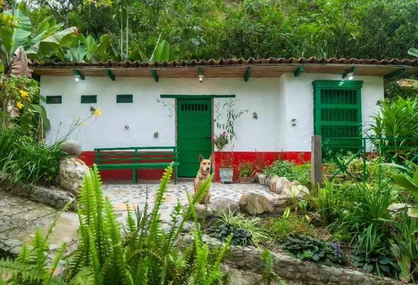ペンション Finca Los Abuelos   La Planta