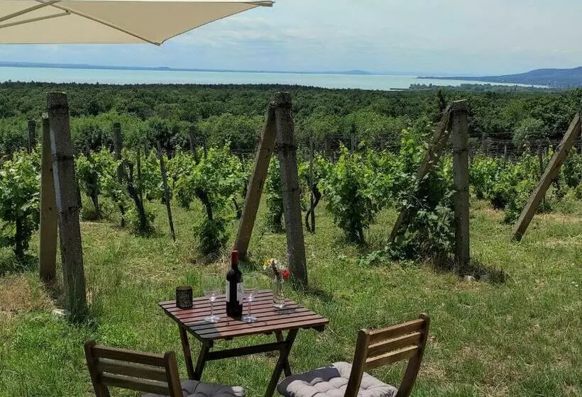 ペンション Napraszállás Vendégház