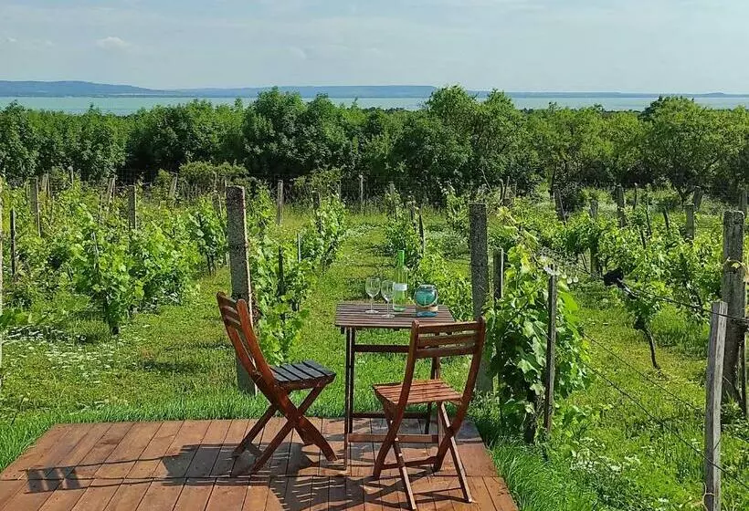 ペンション Napraszállás Vendégház