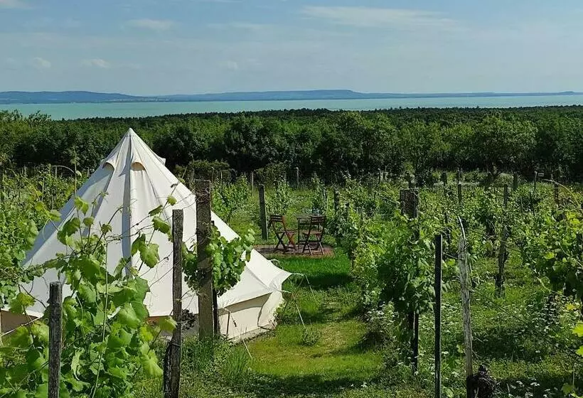 ペンション Napraszállás Vendégház