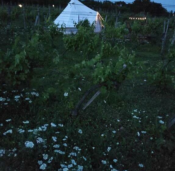 膳宿费 Napraszállás Vendégház