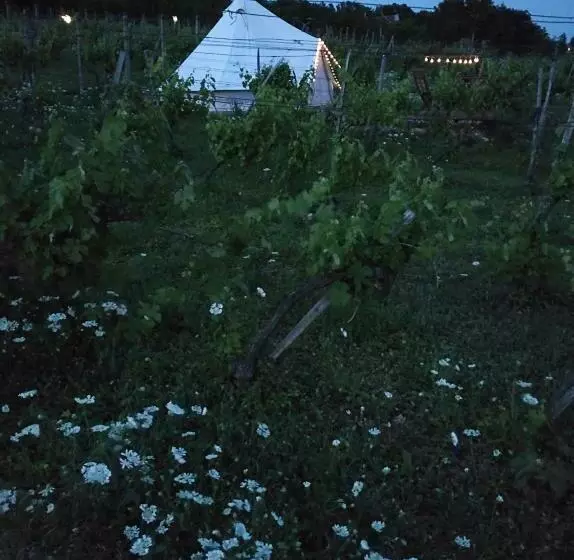 ペンション Napraszállás Vendégház