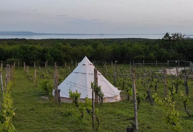 ペンション Napraszállás Vendégház