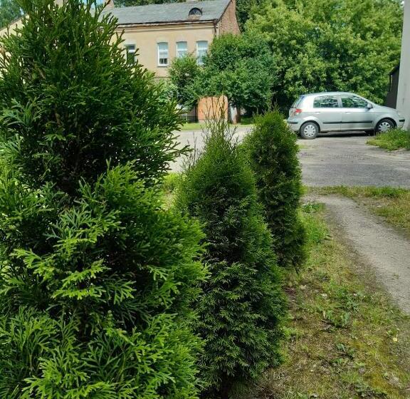 Apartment Central Park