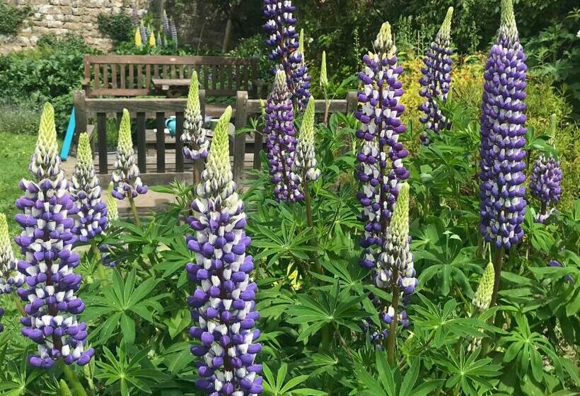 ベッドアンドブレックファースト Abbot S Wing