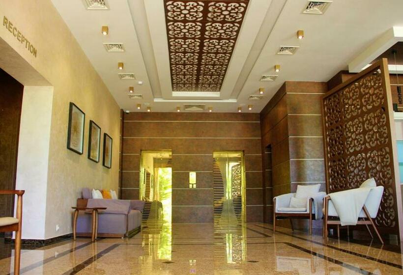 Dreamland Oasis Luxury 1801