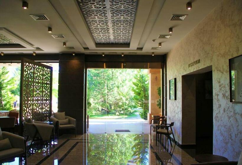 Dreamland Oasis Luxury 1801