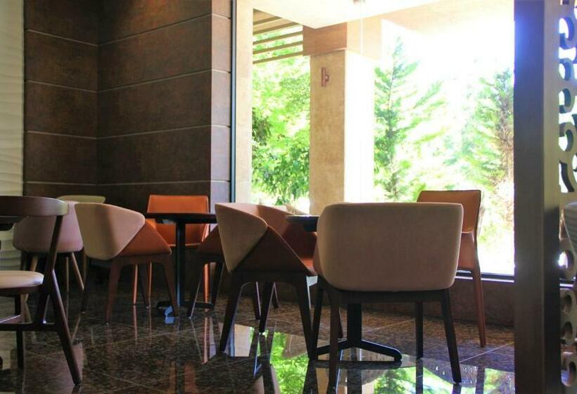 Dreamland Oasis Luxury 1801