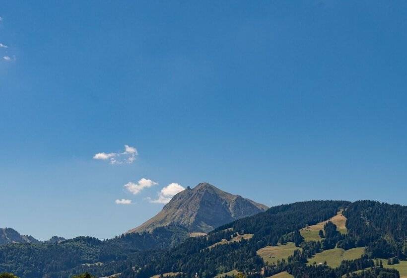 هتل D Bulle La Gruyere