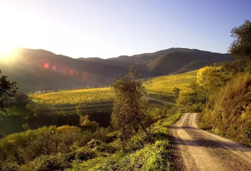 Agriturismo Colognole
