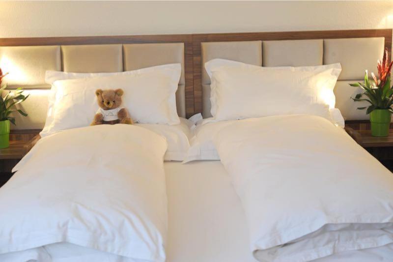 Hotel Falken Am Rotsee