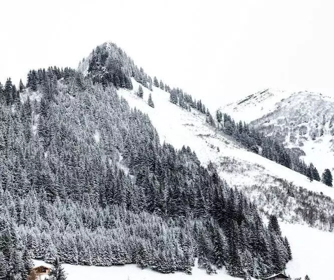 ホテル Hôtel Le Relais Alpin