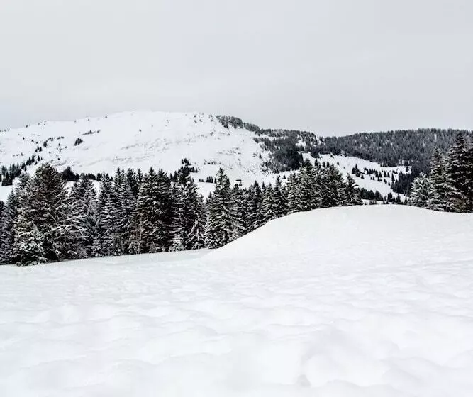 ホテル Hôtel Le Relais Alpin