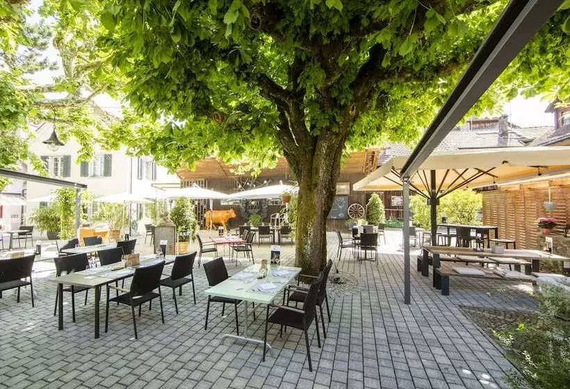 酒店 Ochsen Lenzburg