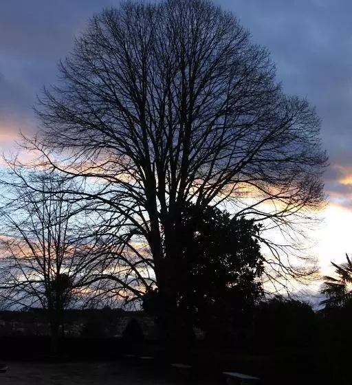 هتل Quinta Da Fata