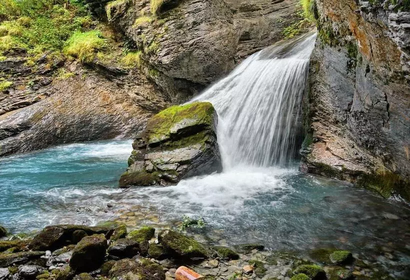 Отель Alpenrose