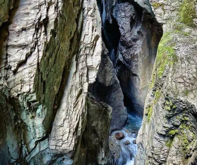 Отель Alpenrose