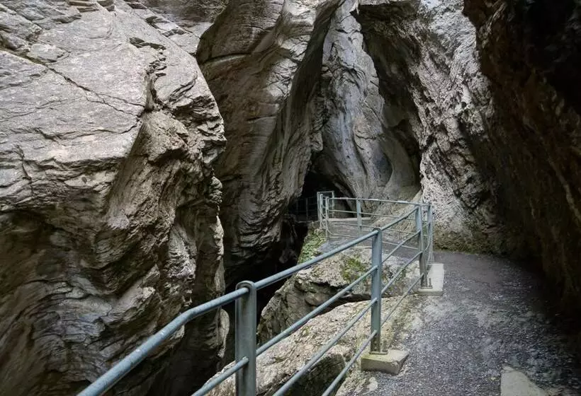 Отель Alpenrose