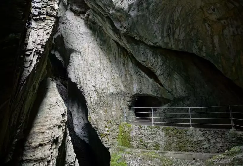 Отель Alpenrose