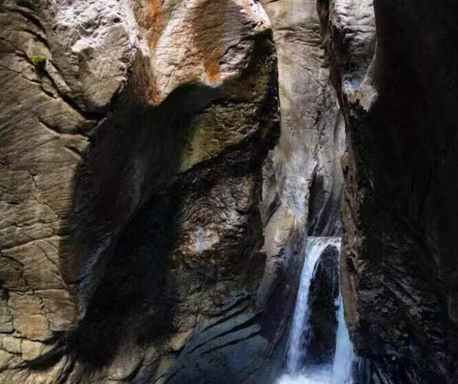 Отель Alpenrose