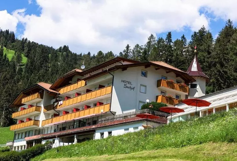 酒店 Seehof